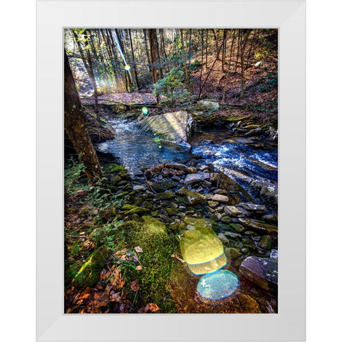 Stinging Fork Creek 5 White Modern Wood Framed Art Print by Lee, Rachel