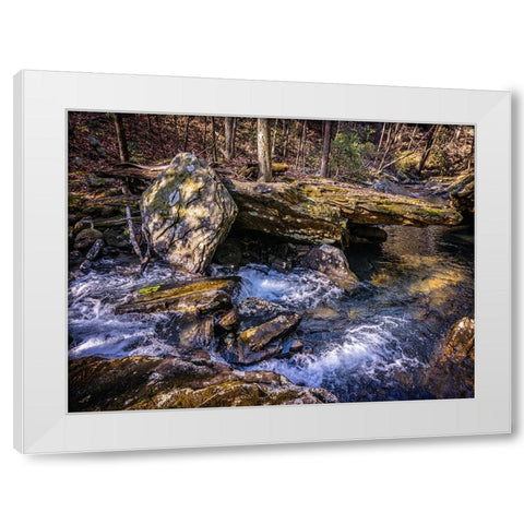 Stinging Fork Creek 7 White Modern Wood Framed Art Print by Lee, Rachel