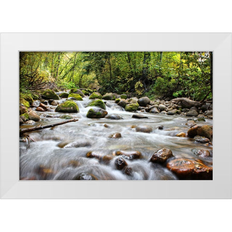 Stream 1 White Modern Wood Framed Art Print by Lee, Rachel