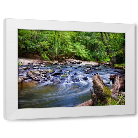 Stream 12 White Modern Wood Framed Art Print by Lee, Rachel