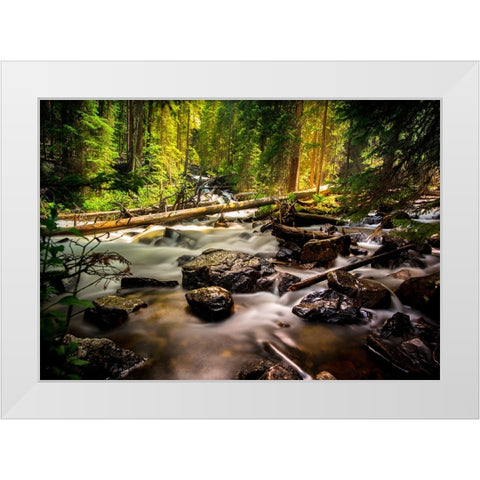 Stream 13 White Modern Wood Framed Art Print by Lee, Rachel