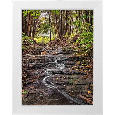 Stream 20 White Modern Wood Framed Art Print by Lee, Rachel