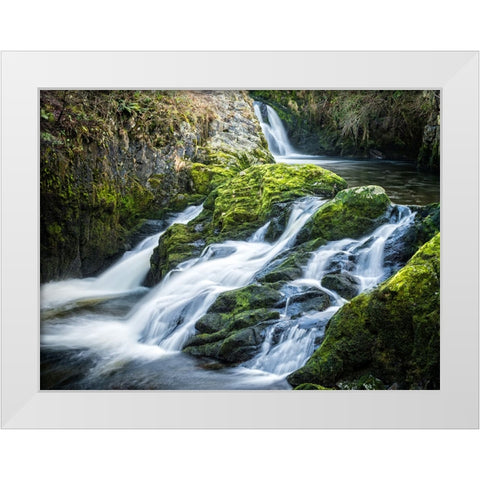 Stream 22 White Modern Wood Framed Art Print by Lee, Rachel