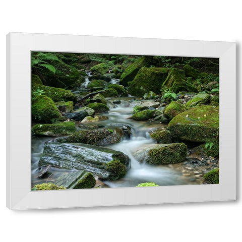 Stream 9 White Modern Wood Framed Art Print by Lee, Rachel