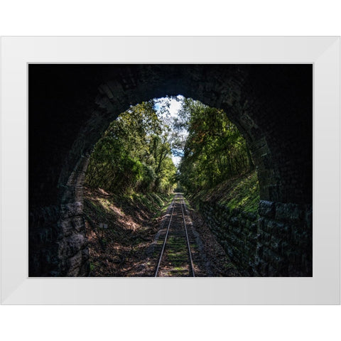 Train Enter Tunnel 3 White Modern Wood Framed Art Print by Lee, Rachel