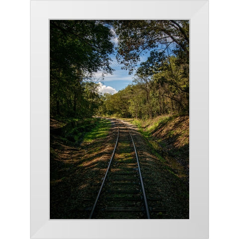 Train Track 3 White Modern Wood Framed Art Print by Lee, Rachel