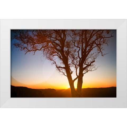 Tree Sunset 1 White Modern Wood Framed Art Print by Lee, Rachel