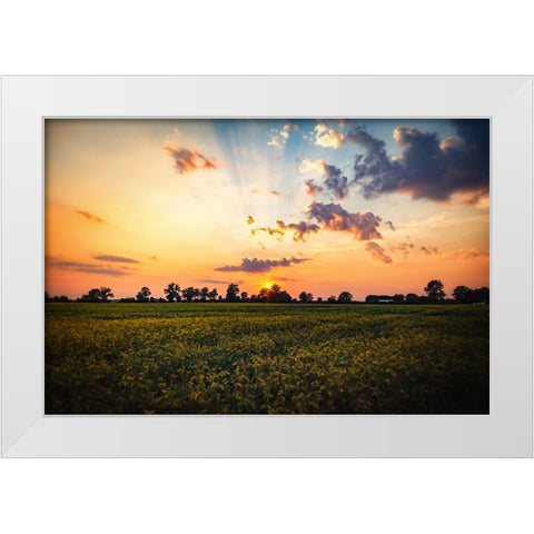 Tree Sunset 2 White Modern Wood Framed Art Print by Lee, Rachel
