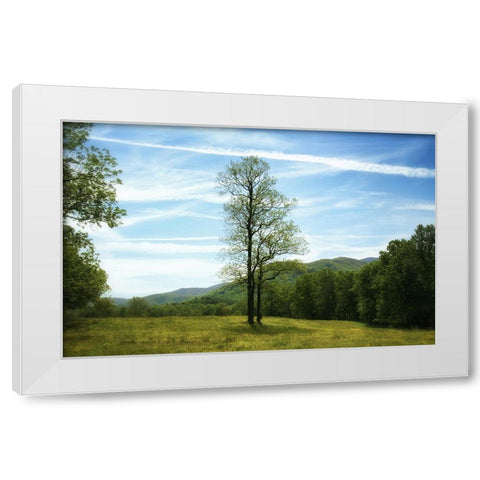 Trees 11 White Modern Wood Framed Art Print by Lee, Rachel