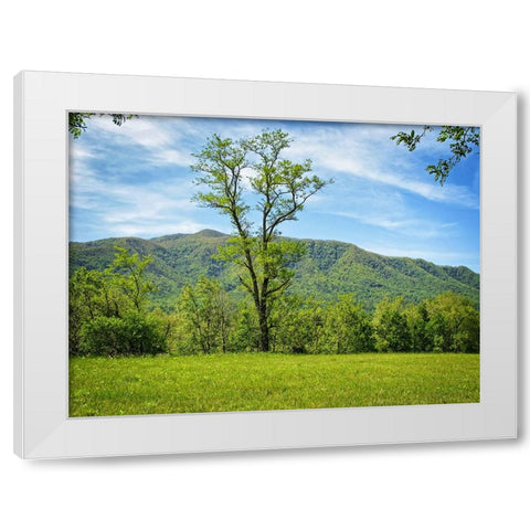 Trees 12 White Modern Wood Framed Art Print by Lee, Rachel