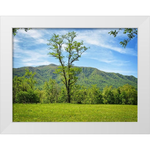 Trees 12 White Modern Wood Framed Art Print by Lee, Rachel