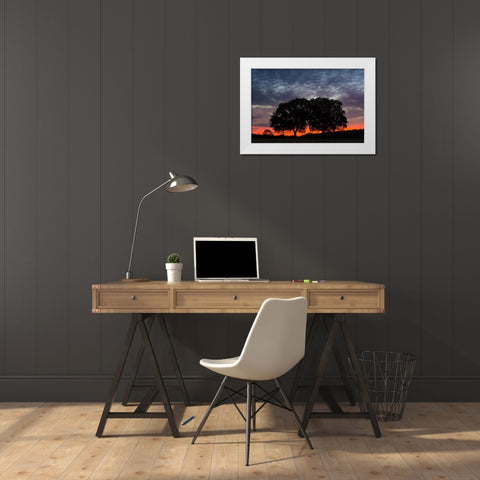 Trees 14 White Modern Wood Framed Art Print by Lee, Rachel