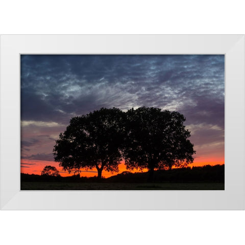 Trees 14 White Modern Wood Framed Art Print by Lee, Rachel