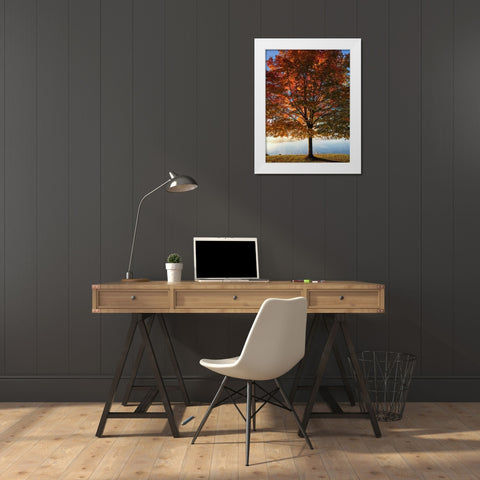 Trees 15 White Modern Wood Framed Art Print by Lee, Rachel