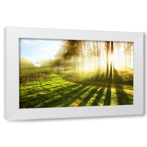 Trees 18 White Modern Wood Framed Art Print by Lee, Rachel