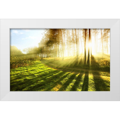 Trees 18 White Modern Wood Framed Art Print by Lee, Rachel