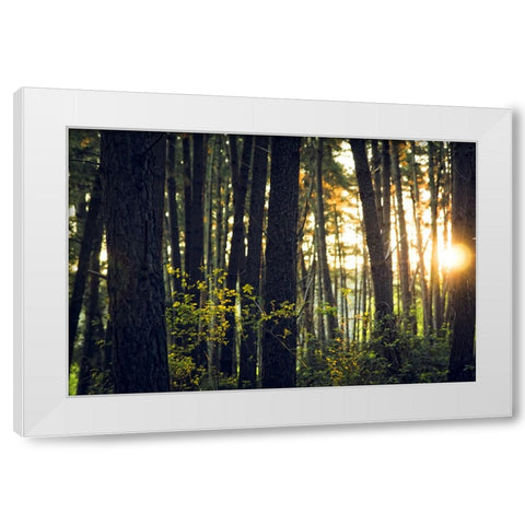 Trees 19 White Modern Wood Framed Art Print by Lee, Rachel