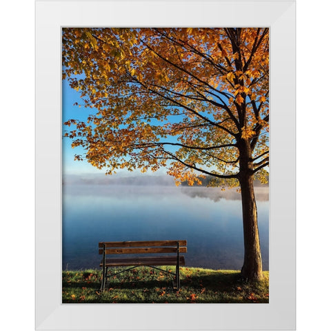 Trees 21 White Modern Wood Framed Art Print by Lee, Rachel