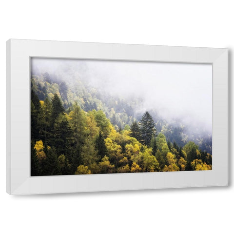 Trees 23 White Modern Wood Framed Art Print by Lee, Rachel