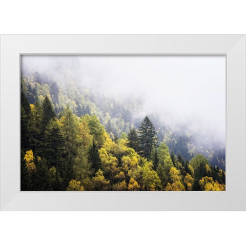 Trees 23 White Modern Wood Framed Art Print by Lee, Rachel
