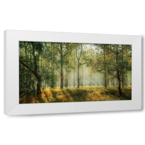 Trees 27 White Modern Wood Framed Art Print by Lee, Rachel