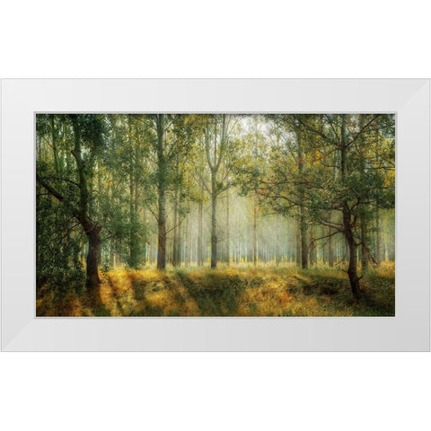 Trees 27 White Modern Wood Framed Art Print by Lee, Rachel