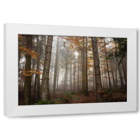 Trees 3 White Modern Wood Framed Art Print by Lee, Rachel