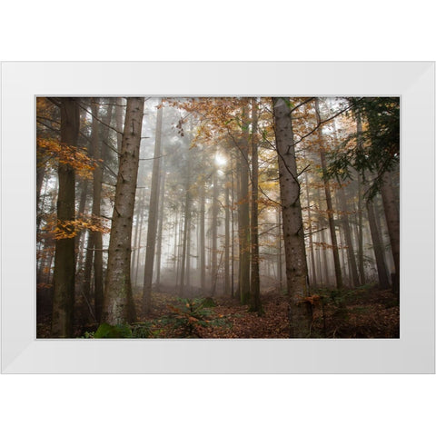 Trees 3 White Modern Wood Framed Art Print by Lee, Rachel