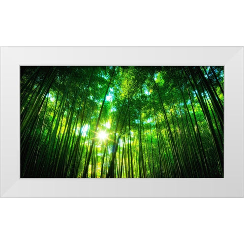 Trees 31 White Modern Wood Framed Art Print by Lee, Rachel