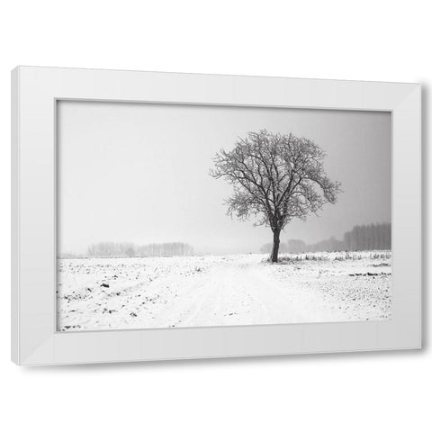 Trees 33 White Modern Wood Framed Art Print by Lee, Rachel