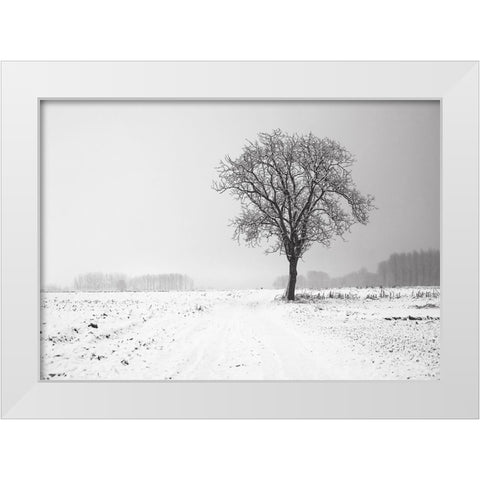 Trees 33 White Modern Wood Framed Art Print by Lee, Rachel