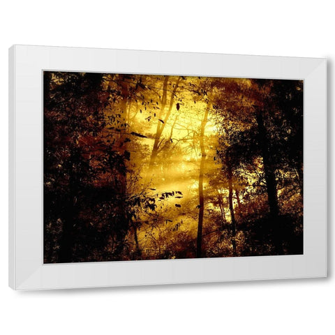 Trees 34 White Modern Wood Framed Art Print by Lee, Rachel