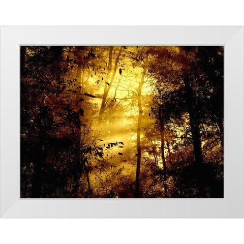 Trees 34 White Modern Wood Framed Art Print by Lee, Rachel