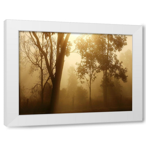 Trees 37 White Modern Wood Framed Art Print by Lee, Rachel