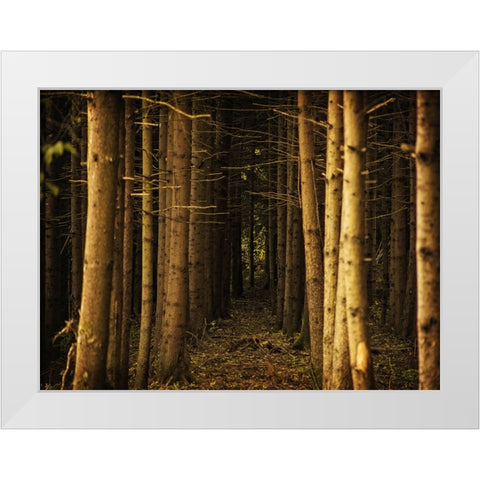Trees 39 White Modern Wood Framed Art Print by Lee, Rachel
