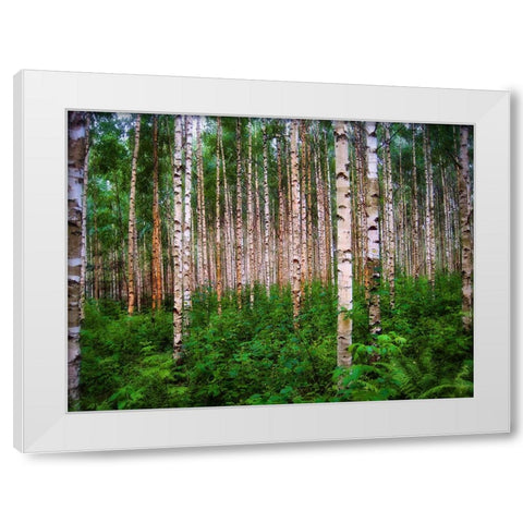Trees 4 White Modern Wood Framed Art Print by Lee, Rachel
