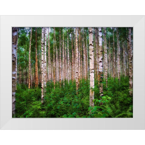 Trees 4 White Modern Wood Framed Art Print by Lee, Rachel