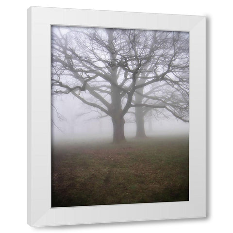 Trees 40 White Modern Wood Framed Art Print by Lee, Rachel