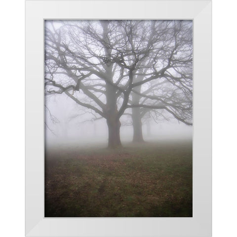 Trees 40 White Modern Wood Framed Art Print by Lee, Rachel