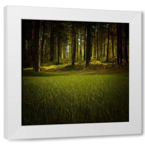 Trees 41 White Modern Wood Framed Art Print by Lee, Rachel