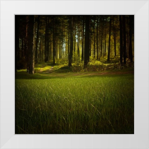 Trees 41 White Modern Wood Framed Art Print by Lee, Rachel