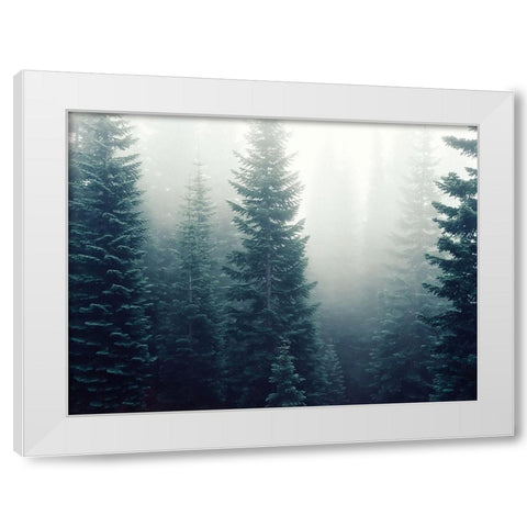 Trees 42 White Modern Wood Framed Art Print by Lee, Rachel