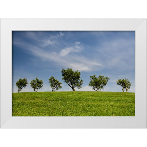 Trees 43 White Modern Wood Framed Art Print by Lee, Rachel