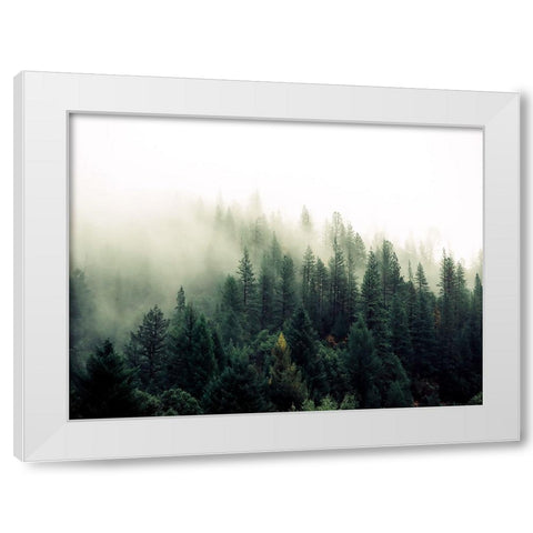 Trees 47 White Modern Wood Framed Art Print by Lee, Rachel
