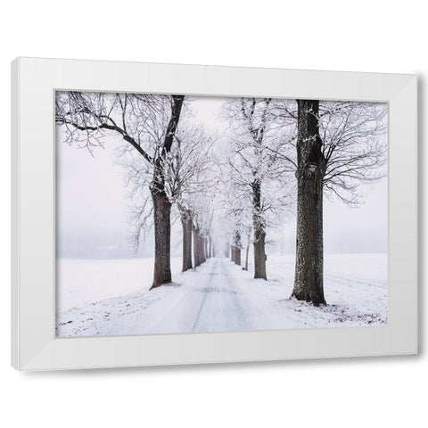 Trees 49 White Modern Wood Framed Art Print by Lee, Rachel