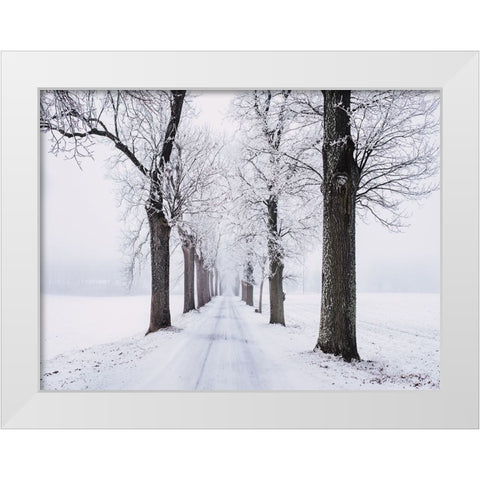Trees 49 White Modern Wood Framed Art Print by Lee, Rachel