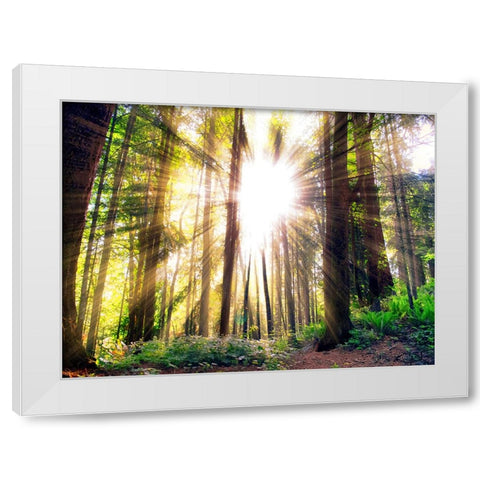 Trees 50 White Modern Wood Framed Art Print by Lee, Rachel
