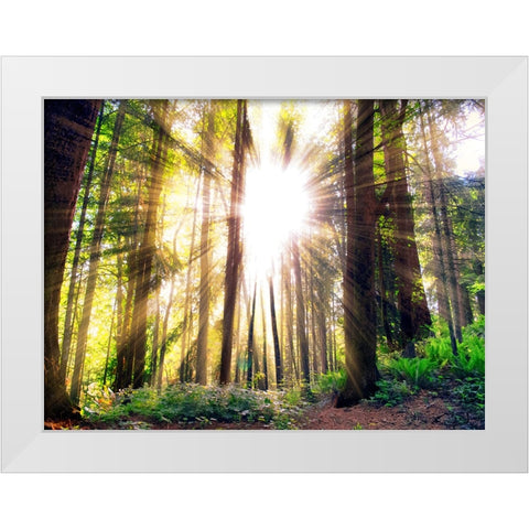Trees 50 White Modern Wood Framed Art Print by Lee, Rachel