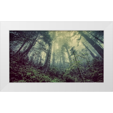 Trees 51 White Modern Wood Framed Art Print by Lee, Rachel