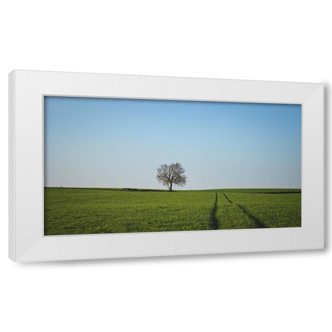 Trees 52 White Modern Wood Framed Art Print by Lee, Rachel